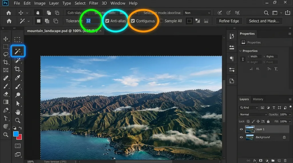 Adobe Photoshop user interface highlighting the Magic Wand Tool icon and options bar configuration.