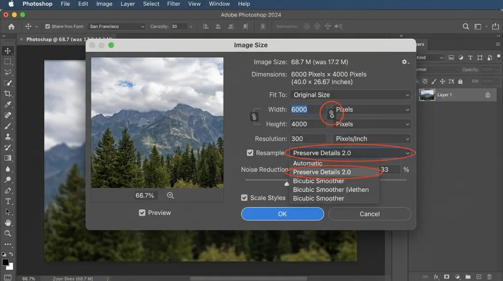 Photoshop Image Size dialog box showing precise width, height, and resample settings.