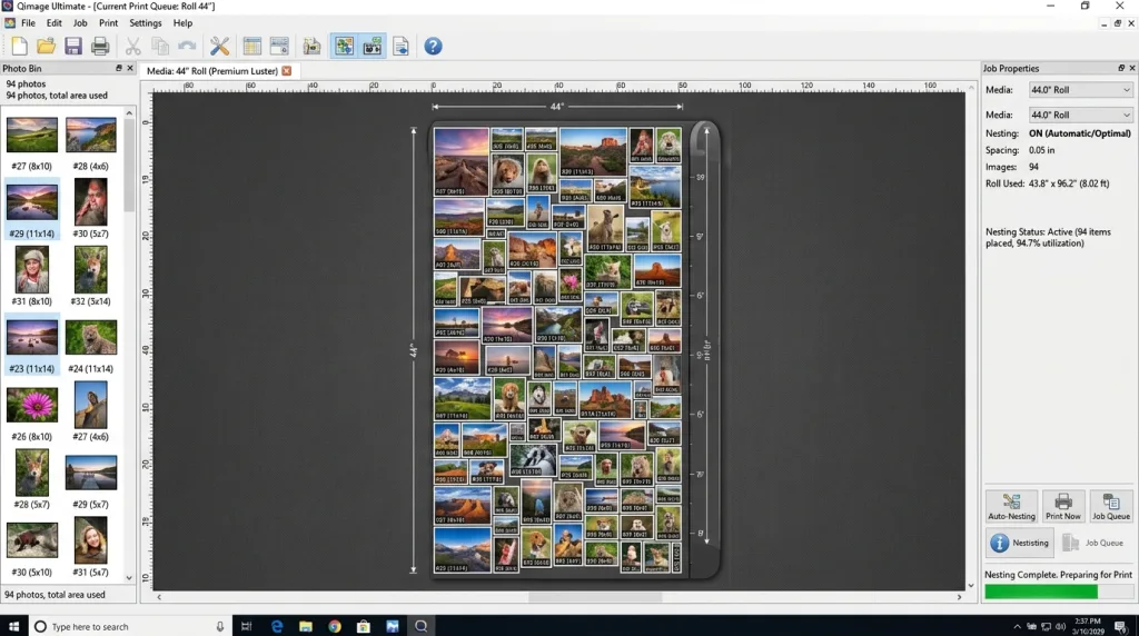 Qimage Ultimate software interface demonstrating automatic image nesting and layout on roll paper.