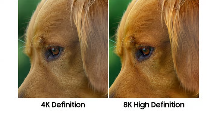 Image quality comparison showing 4K versus 8K resolution detail
