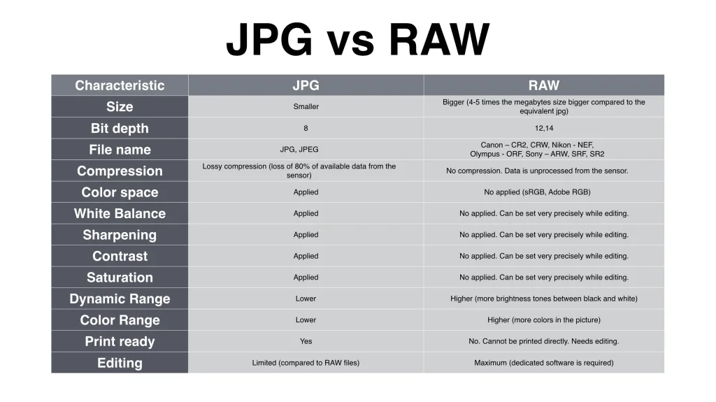 RAW vs JPEG comparison chart
